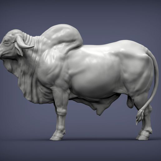 Gyr-Bull1.jpg Gyr Bull 3D print model