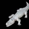 Capture-d’écran-2023-07-06-à-10.37.25.png crocodile