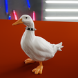 edgy-duck-3.png Edgy Ducks