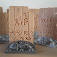 photo pierres tombales 2.jpg Headstones for the Galerapagos game