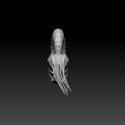 an3.jpg ammonoid acanthoscaphites - sea animals - unity3d - ue5