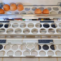 Oeufs_Tri_1.jpg 17-egg storage rack for Panasonic refrigerator ("Flex-Lift" shelf)