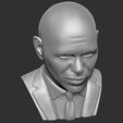 13.jpg Pitbull bust 3D printing ready stl obj formats
