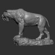 ZBrush-Document2.jpg Sabertooth