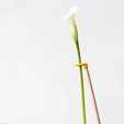 stick-soliflore-jean-baptiste-ricatte-DIY-impression3D-objetsimprimes-bois-vase-design.jpg Soliflore Stick