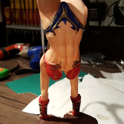 20180205_203013.jpg Free STL file Amazonian Archer - BY SPARX・3D printing idea to download, SparxBM