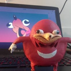 30422029_10215378039754466_1015096932_n.jpg Free STL file DA WAE (Ugandan knuckles)・3D printer design to download