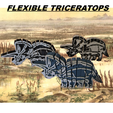 flexible-triceratops-logo-1.png FLEXIBLE TRICERATOPS