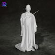 2.jpg Lord Voldemort Harry Potter Action Figures Custom 3D Print Model 3D print model