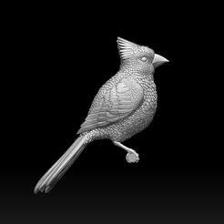322312.jpg Archivo STL pájaro cardenal rojo・Design para impresora 3D para descargar