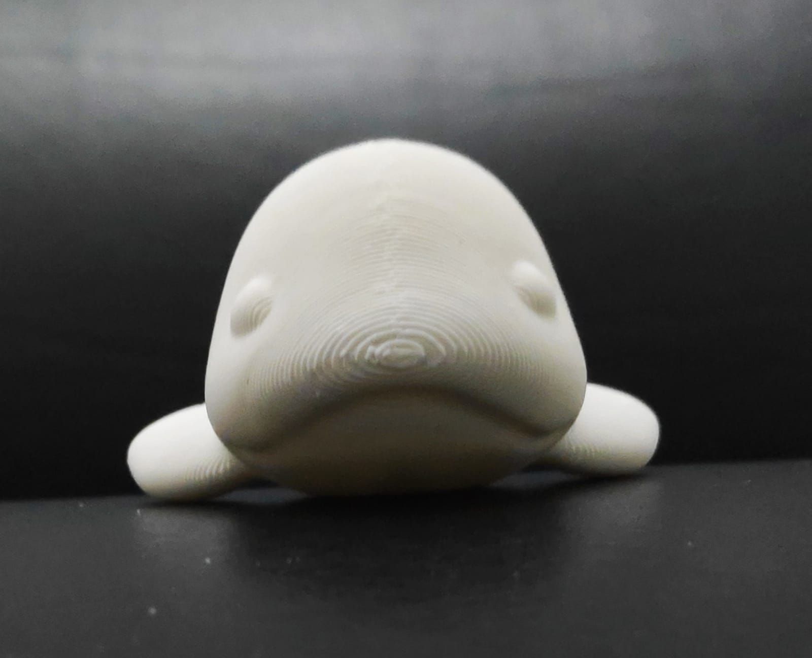 Cod2799-Beluga-Whale-9.jpeg Archivo 3D Ballena Beluga・Modelo de impresora 3D para descargar, Usagipan3DStudios