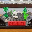 Desert_Biome_Picture.jpg 6th Grade Biome Project