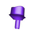 1372578523_20210927_0150_RAMI 3.stl Digital Dental Implant Model with Lab Analog