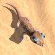 Pachydactylus-Rangei_Boden0003.jpg Namib Gecko -Pachydactylus rangaii-with full size texture + Zbrush Originals-STL 3D Print File-High Polygon