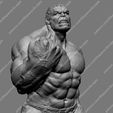 31.jpg OBJ file Hulk・3D printing template to download, stepanovsculpts