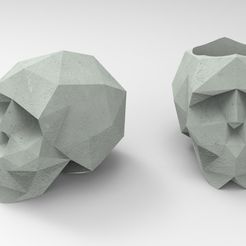 untitled1.31.jpg ВАЗА С ЧЕРЕПОМ В ГОРШКЕ С НИЗКОЙ ПОЛИРОВКОЙ STL #1