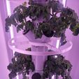 photo_2023-10-25_13-46-57.jpg Modular Hydroponic Tower - Complete System