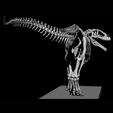 1000045175.png Carcharodontosaurus Skeleton