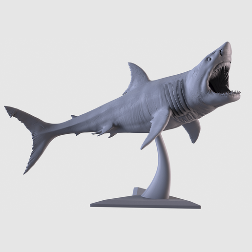 White Shark Statue - 3D model önizlemesi