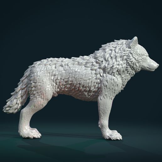 Wolf_IIIx-01.jpg Wolf IV
