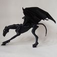 1623261994266.jpg Thestral BJD