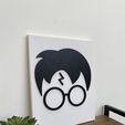 IMG_9663.jpg ROSTRO HARRY POTTER - CUADRO - HARRY POTTER