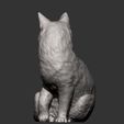 cat-looks-back10.jpg Cat for 3d printing