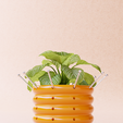 POT-DENTAL-BURS-1.png Porte-fraises rotatif