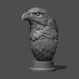 26.jpg Eagle
