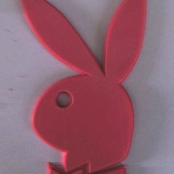 bunny.jpg Logo du lapin Playboy