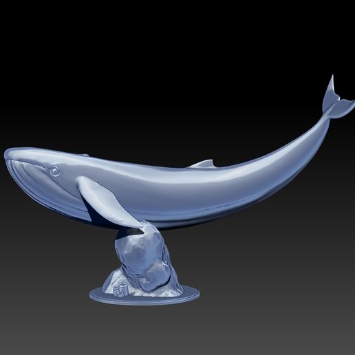 Blue Whale 3D model