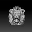 hl1.jpg Head of lion
