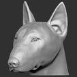 13.jpg Bull Terrier dog for 3D printing