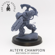 Primary-4.png Fichier STL Champion d'Alteyr・Modèle pour imprimante 3D à télécharger