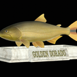 Golden-dorado-statue-3.png fish golden dorado / Salminus brasiliensis statue detailed texture for 3d printing