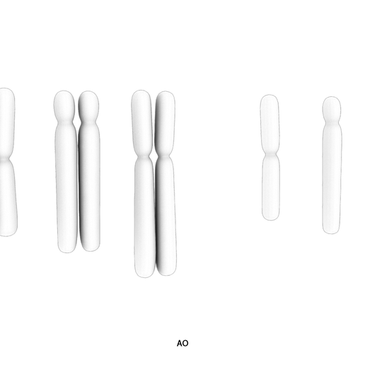 Diploid_vs_Haploid_AO.png Diploïde vs Haploïde