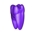 LR6.stl full anatomy upper and lower teeth 1