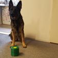 dog toy01 2000px.jpg Dog Toy to keep your dog from boredom