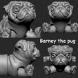 new-4.jpg Barney the pug flexi toy