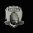 common-carp-19.png head trophy COMMON CARP (CYPRINUS CARPIO)open mouth statue 2 detailed texture for 3d printing