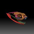 Snake_Head_3Demon-24.jpg Gaboon Viper Snake Skull
