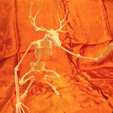 Capture d’écran 2017-03-28 à 15.08.00.png Free STL file Unknown Creatures N° 1 - Wendigo Skeleton・3D print design to download