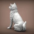 shiba-inu4.jpg shiba inu 3D print model