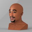 untitled.1332.jpg Tupac Shakur bust ready for full color 3D printing