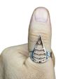Assassin Creed Ring Actual Print.jpg Assassin Creed Ring