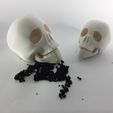 20220315_191208.jpg SKULL (print-in-place, mouth opening)