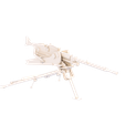 untitled2.png French machine gun AA52