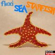 flexi-starfish-logo.jpg flexi SEA STARFISH