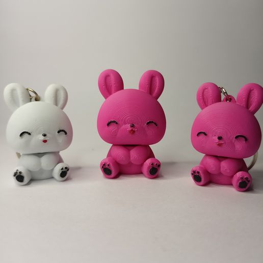 IMG20250619111214.jpg 🐰 Chibi Bunny Buddies - Modèles imprimés en 3D + Porte-clés