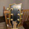 IMG_6829.jpg truss rod cover